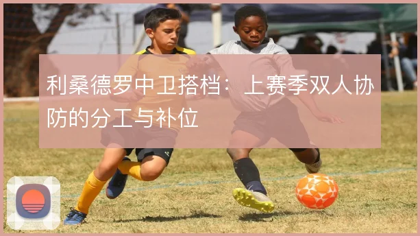 利桑德罗中卫搭档：上赛季双人协防的分工与补位
